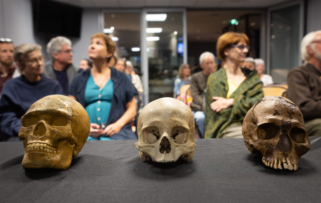 Conférence paléoantropologique gesticulée, musée archeologique du lac de paladru (Isère)