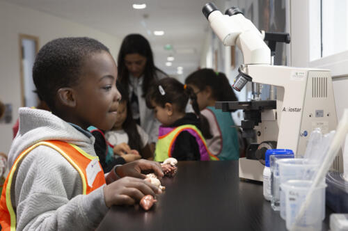 FDS2025 Inauguration-CIRC-Lyon-14