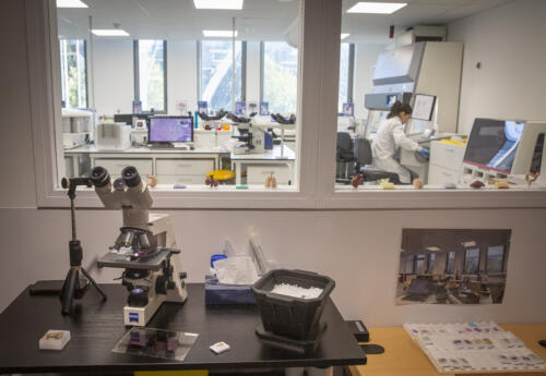 FDS2025 Inauguration-CIRC-Lyon-7