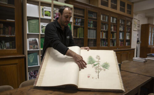 FDS2025 Rhone-Jardin-Botanique-11