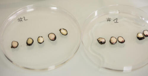 FDS2025 Rhone-Jardin-Botanique-15