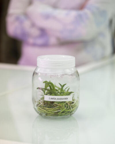 FDS2025 Rhone-Jardin-Botanique-16