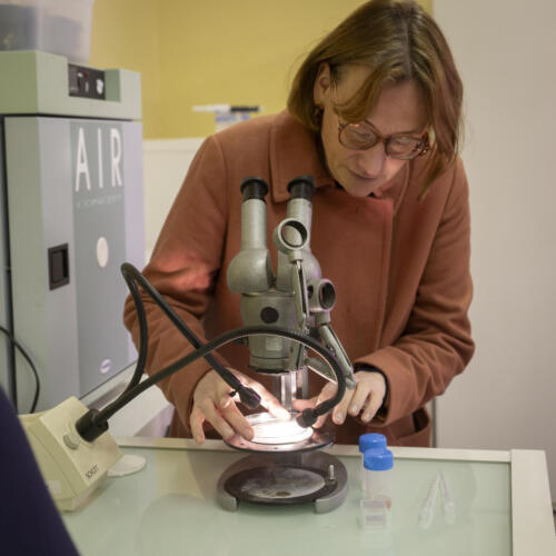 FDS2025 Rhone-Jardin-Botanique-5