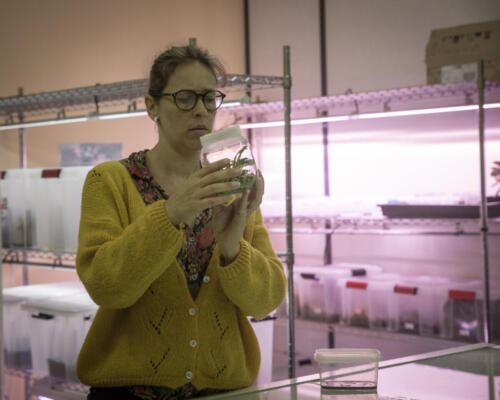 FDS2025 Rhone-Jardin-Botanique-6