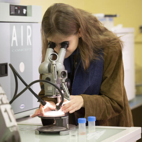 FDS2025 Rhone-Jardin-Botanique-8